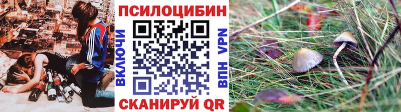 Галлюциногенные грибы мицелий  Купить закладки  Лебедянь 