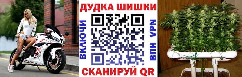 Купить где Лебедянь Марихуана гибрид